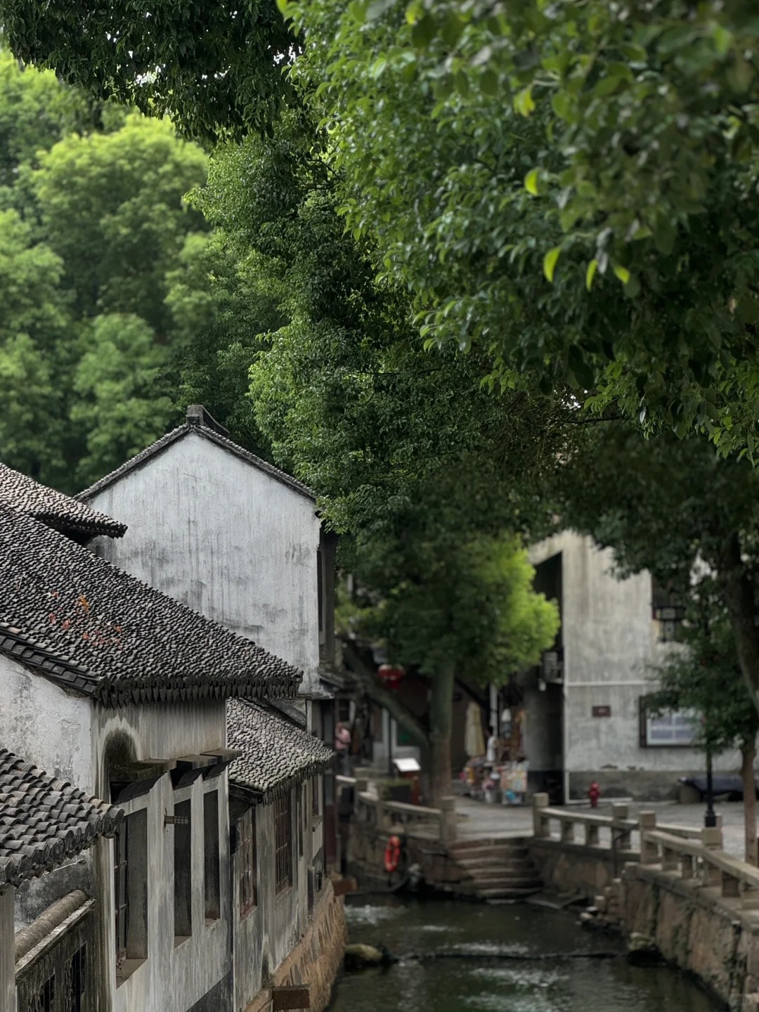 华夏水乡｜甪直古镇🚣_4_大浩哥_古镇-来自52tours 我爱旅游网